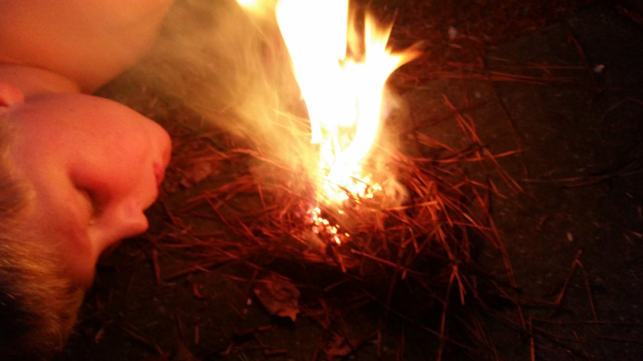 blowing charred punkwood tinder bundle into flame