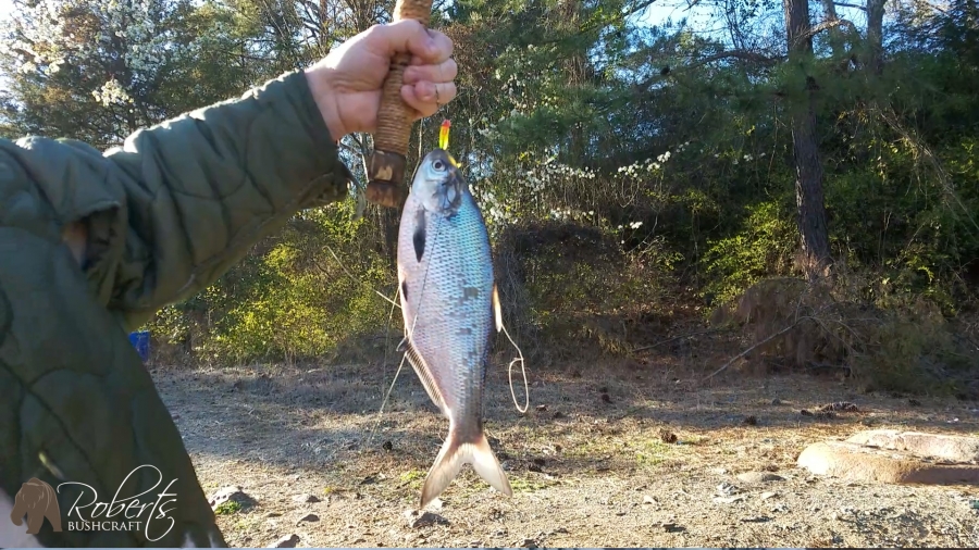 Handline fishing for shad on the Roanoke River