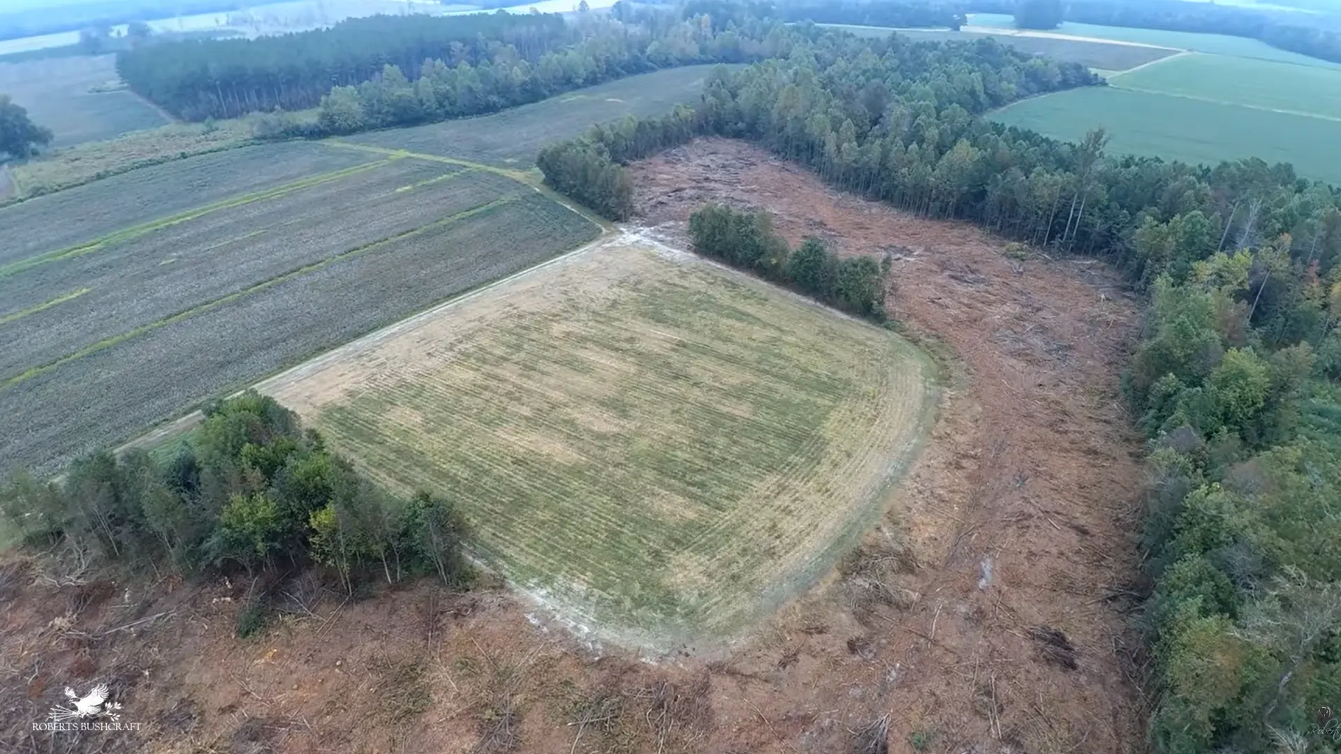 We had a section of the property logged