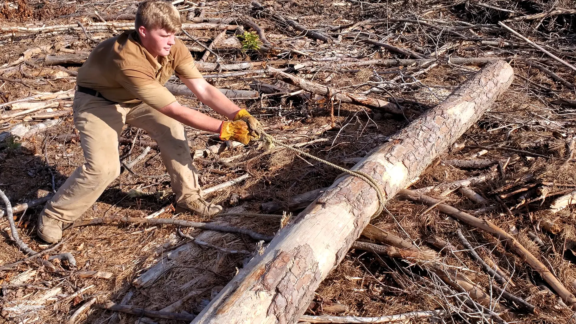We (meaning Gabriel) used a rope to roll the logs