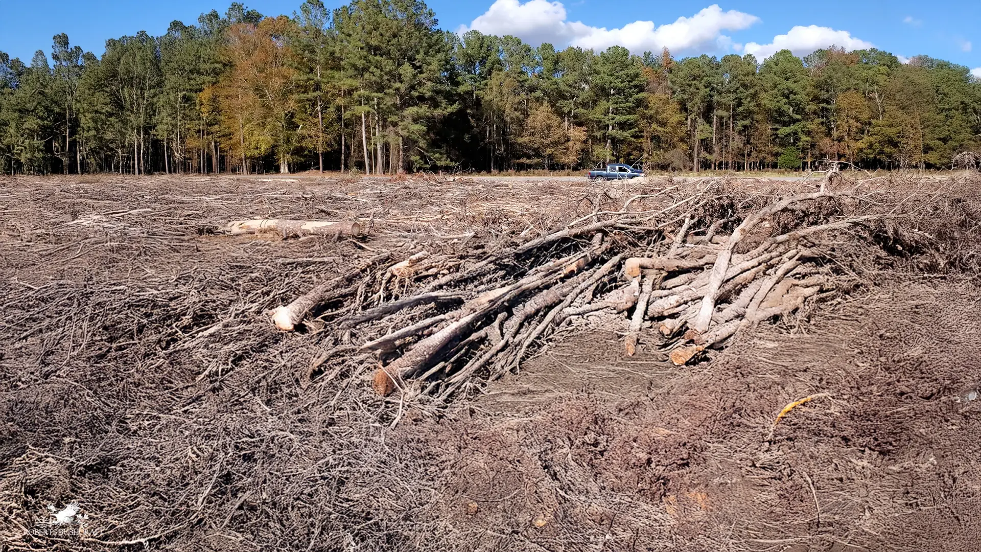 Half way between where the logs were and where we needed to move them