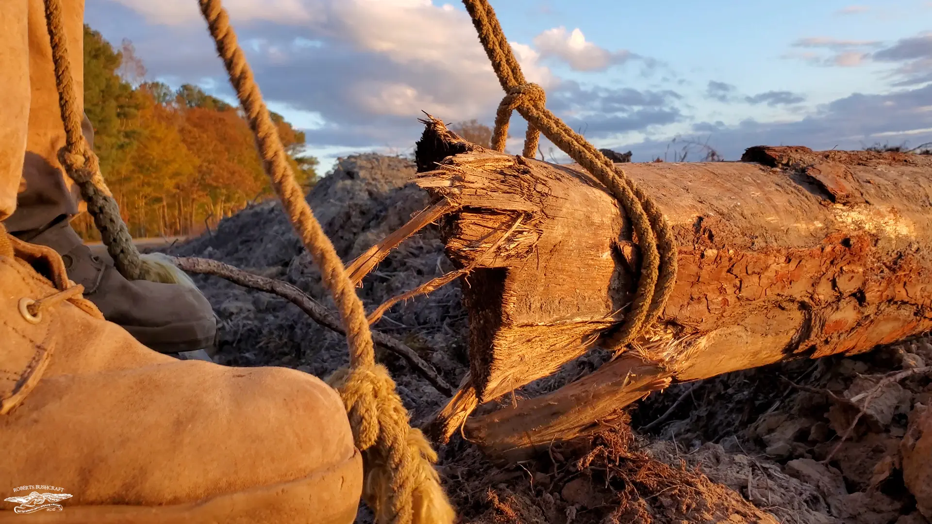 Rope hitch around a log so it could be lifted into the truck