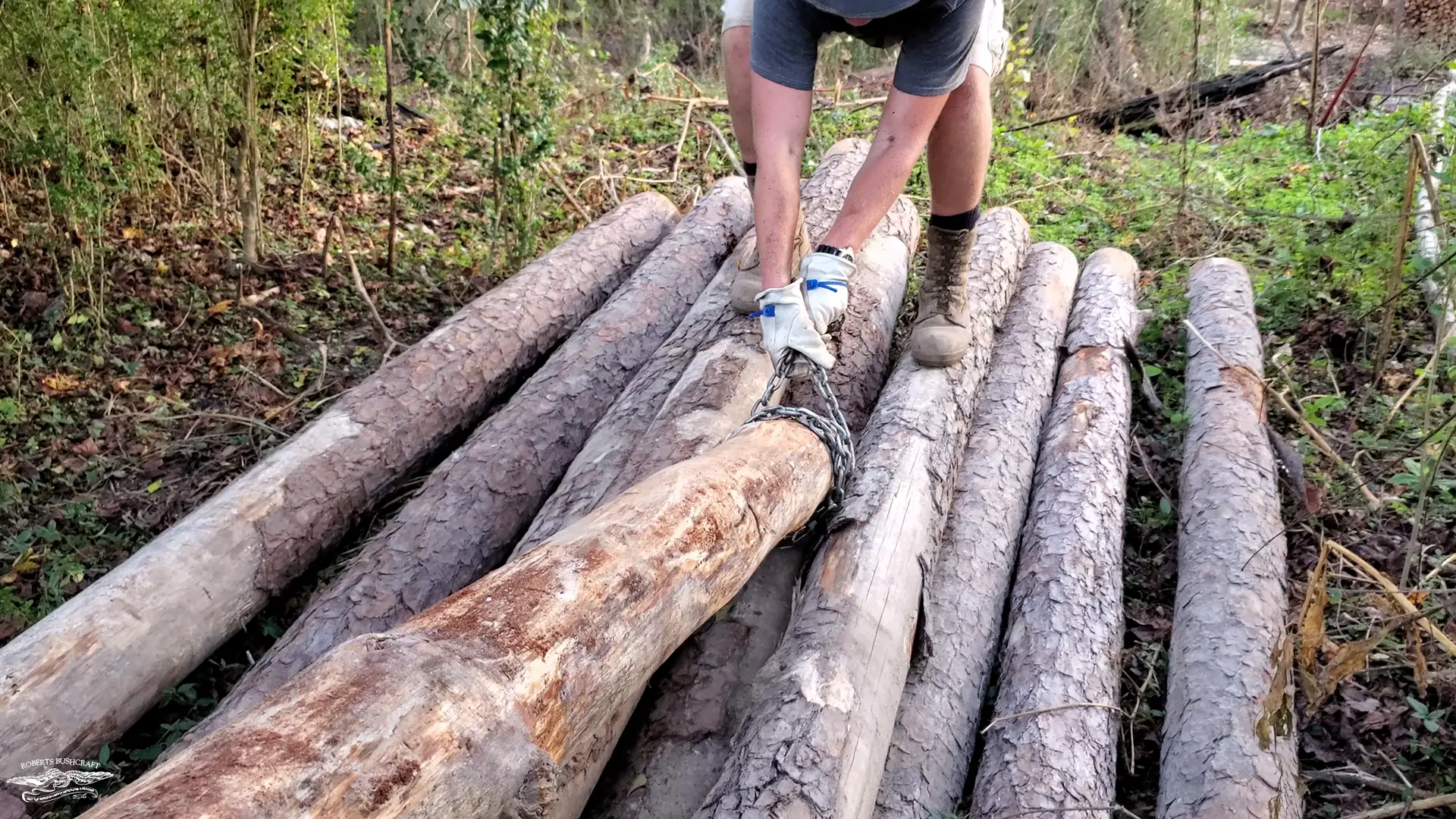 Offloading the logs using a chain