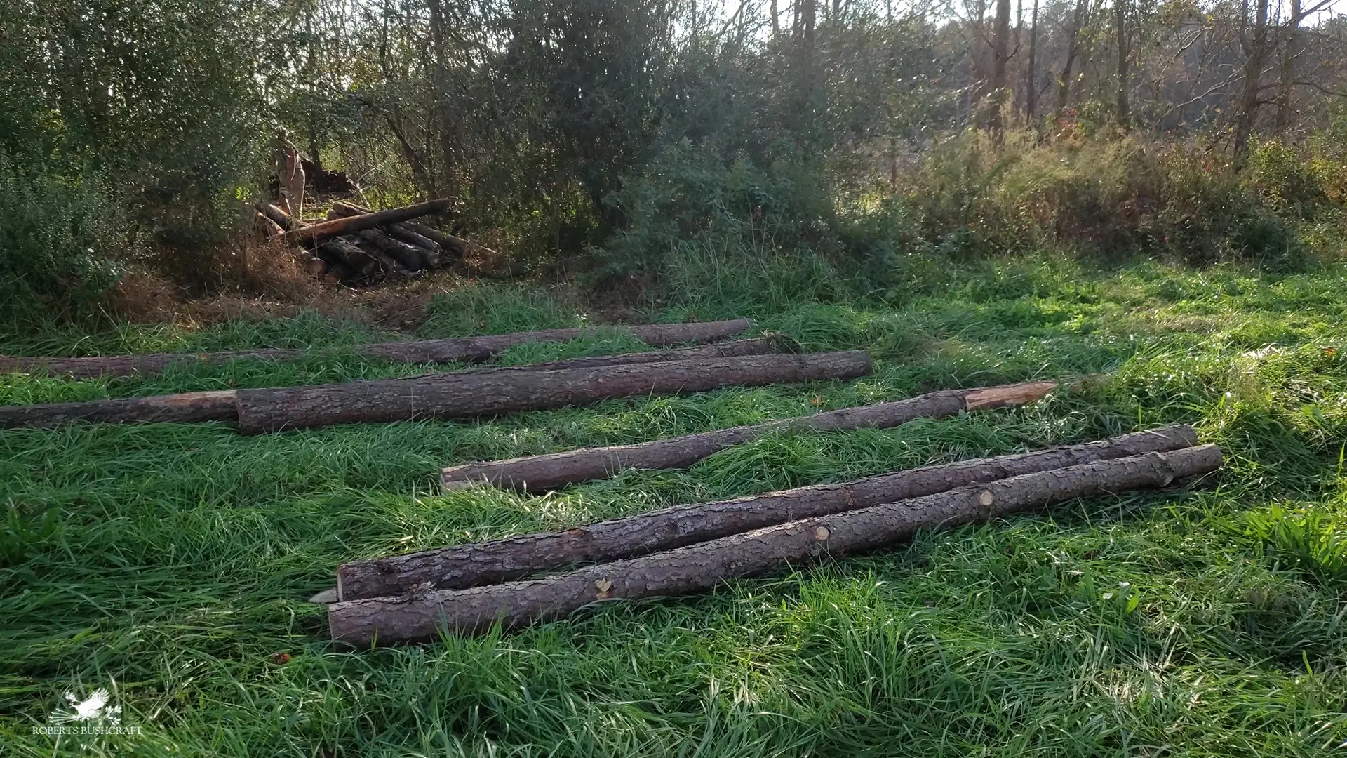 The Oak & Thorn off-grid cabin build in progress