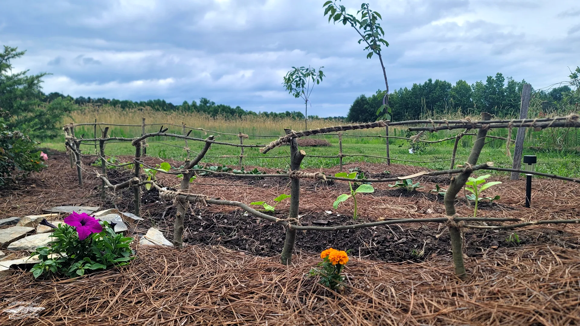 Flowers and pumpkin vines planted at The Oak & Thorn