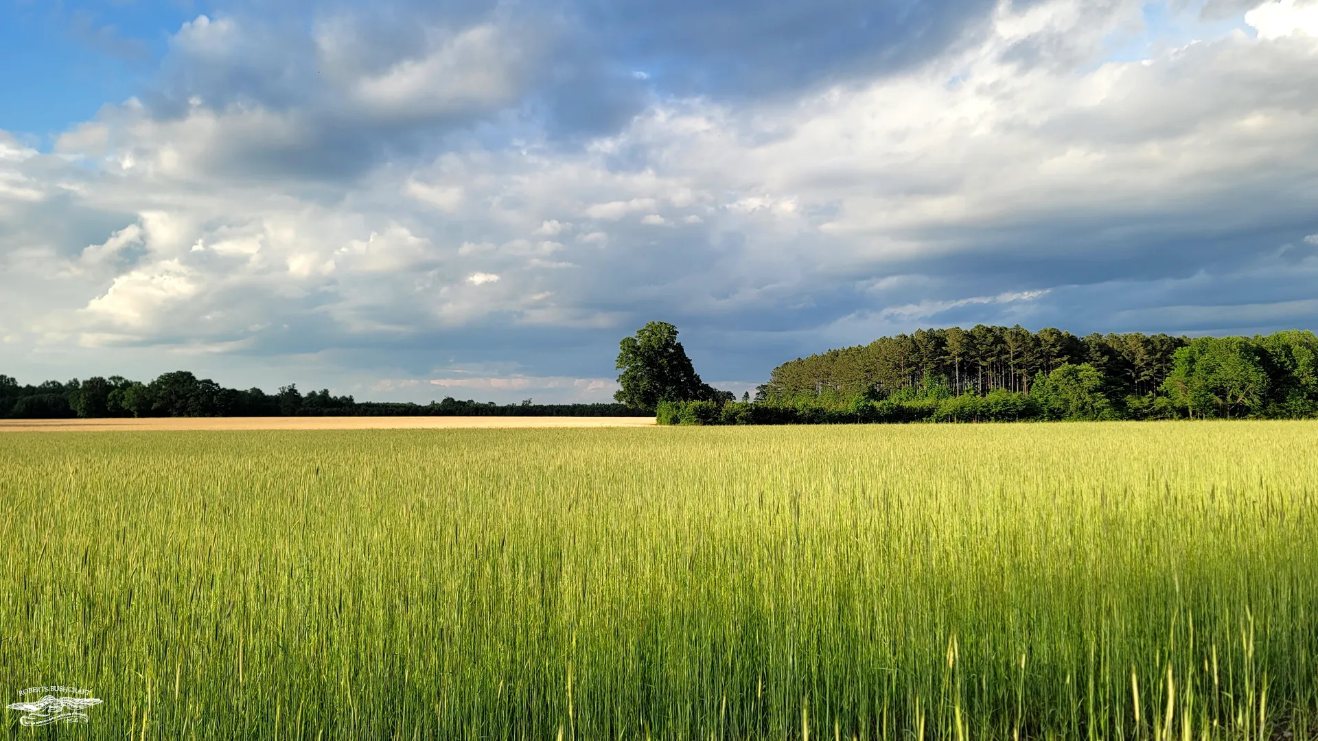 Springtime at The Oak & Thorn Farm