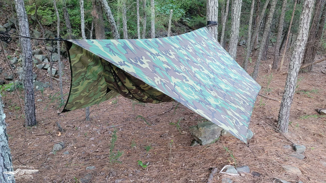 Hennessy Jungle Explorer XL hammock and tarp setup