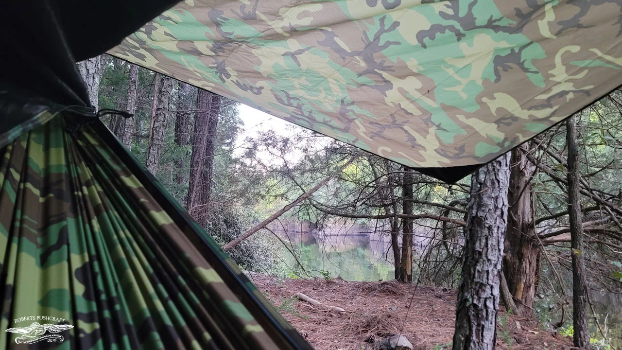 A view from beneath the tarp in my Hennessy Hammock Jungle Explorer XL