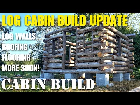 Building an off-grid log cabin in North Carolina update #3