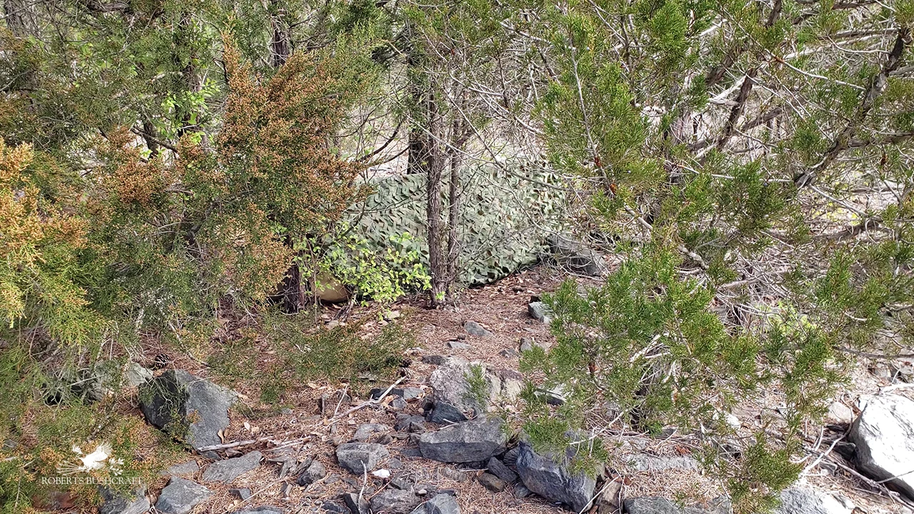 How Effective Is Camo Netting? A Practical Guide