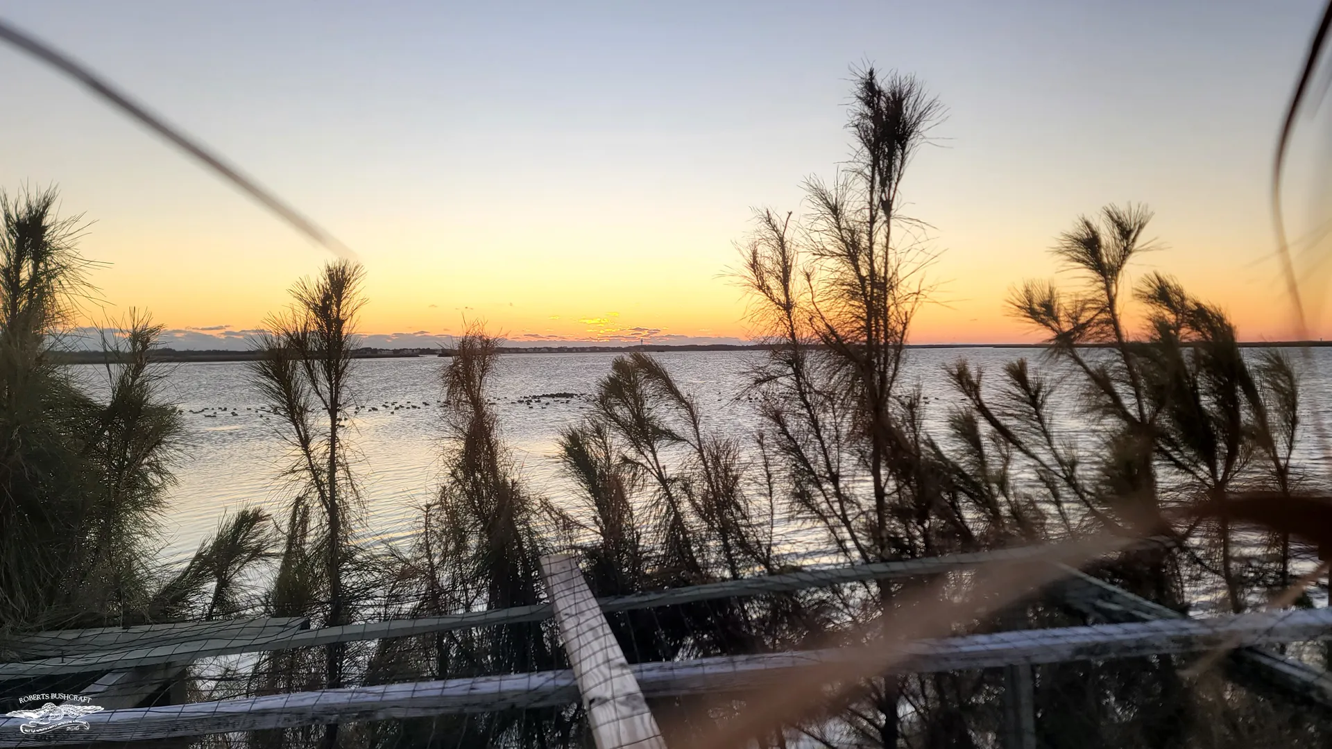 Duck hunt from a blind in North Carolina