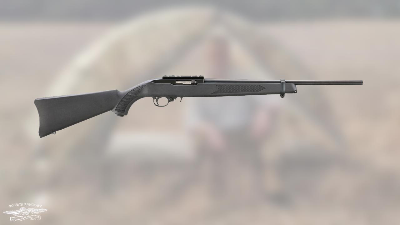 Ruger 10/22 Carbine .22LR for 199.99