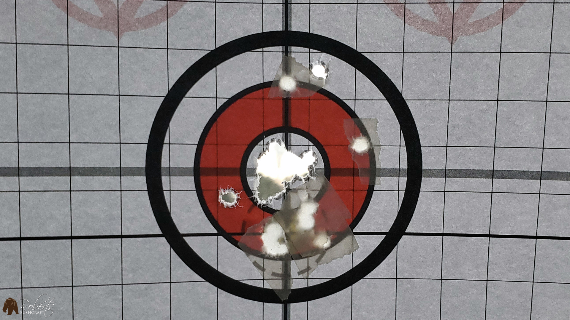 Vortex Crossfire II 4-12x44 on a Ruger 10/22 heavy bull barrel target results
