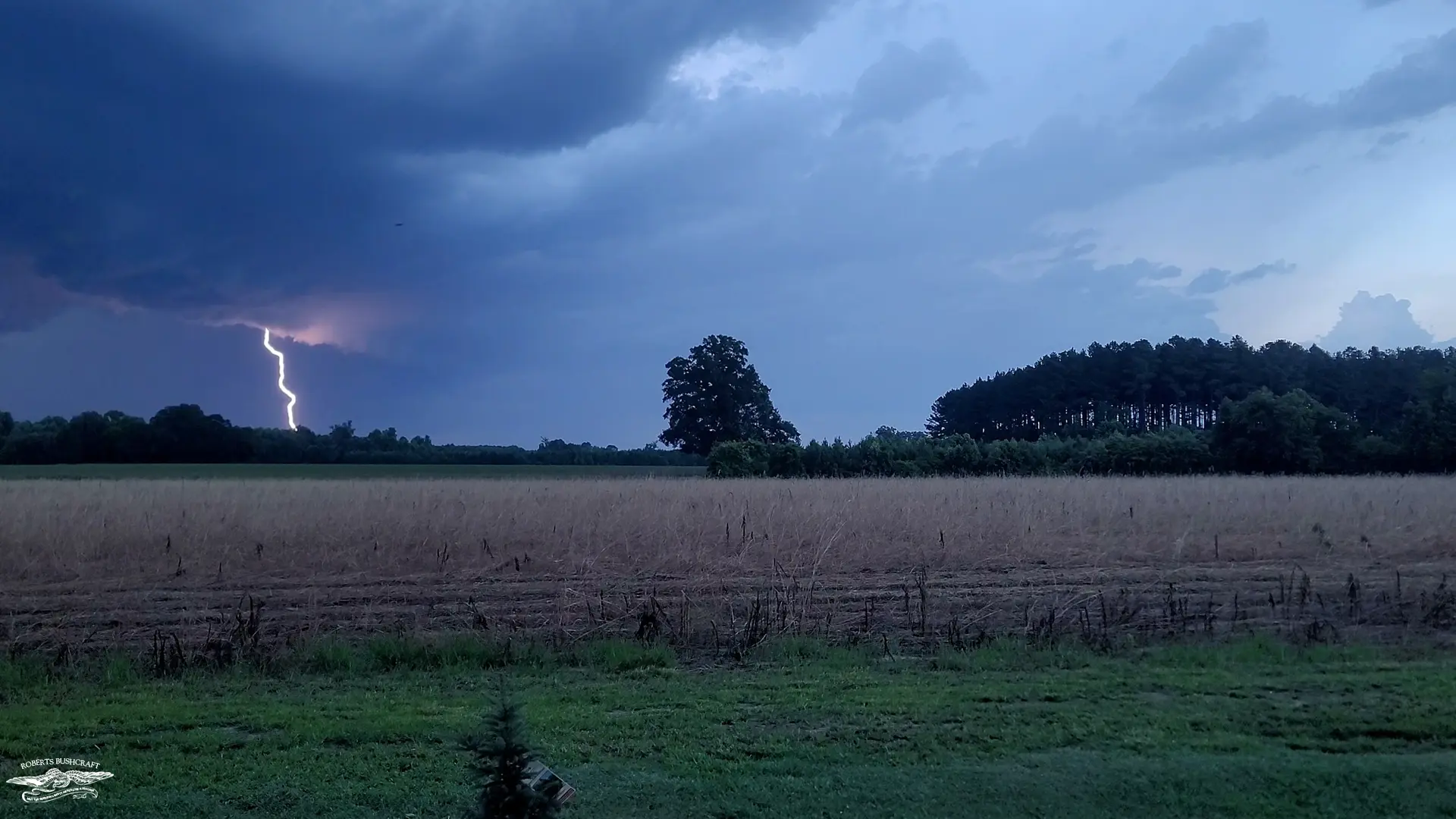 Family Safety and Security Plan for Power Outages | When the Lights Go Out