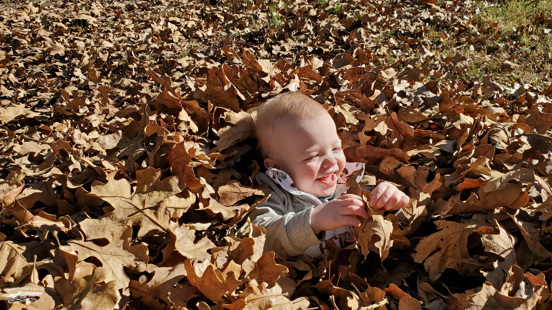 Happy Thanksgiving: Giving Thanks in Every Season