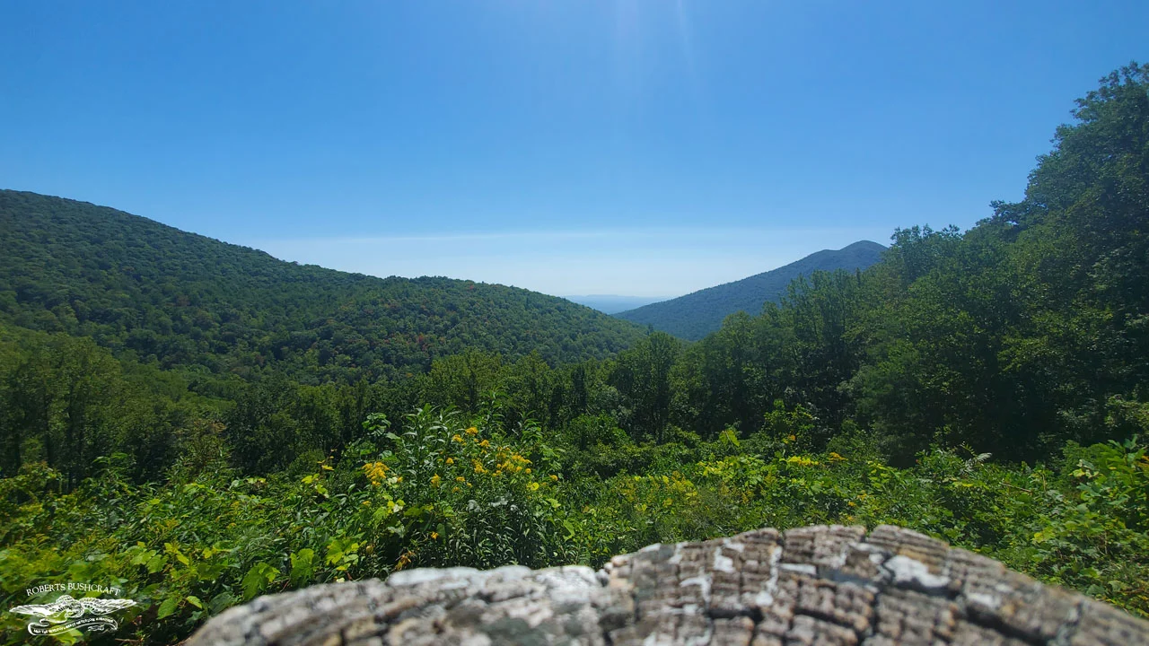 Exploring the Apple Orchard Falls Trail