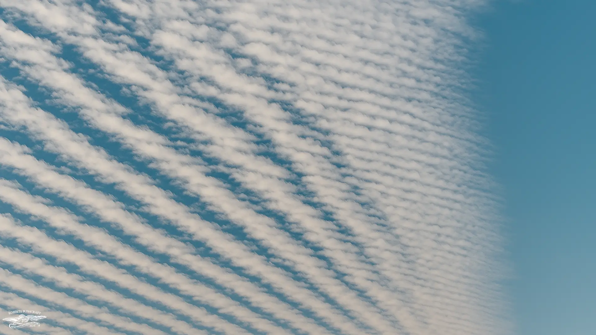 Altocumulus clouds