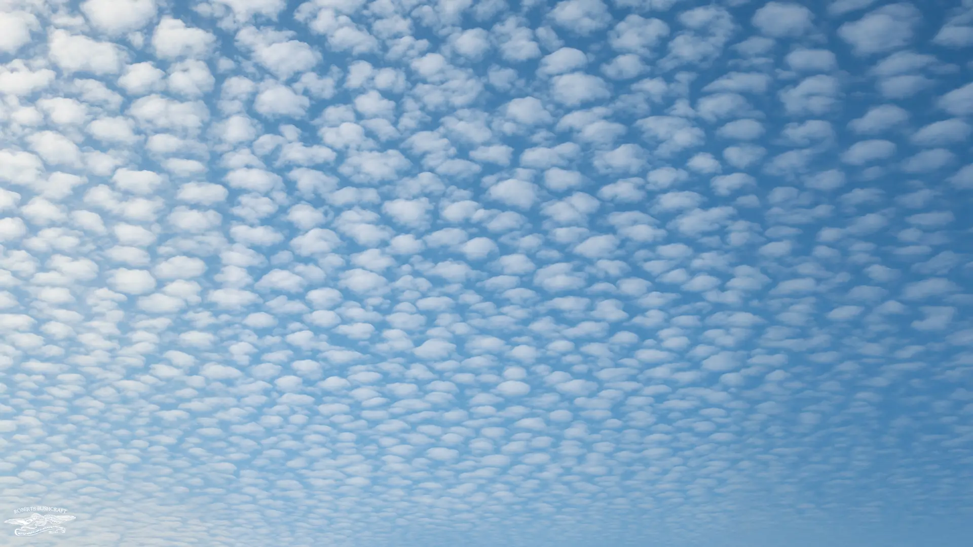 Cirrocumulus clouds